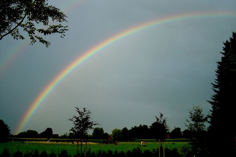 Regenbogen