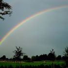 Regenbogen