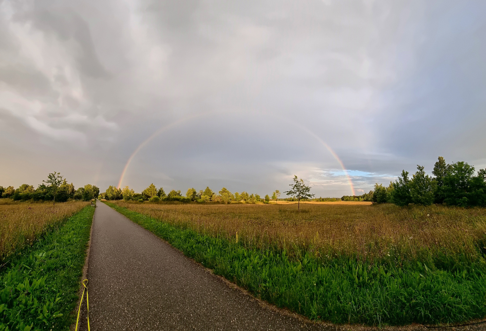 Regenbogen 