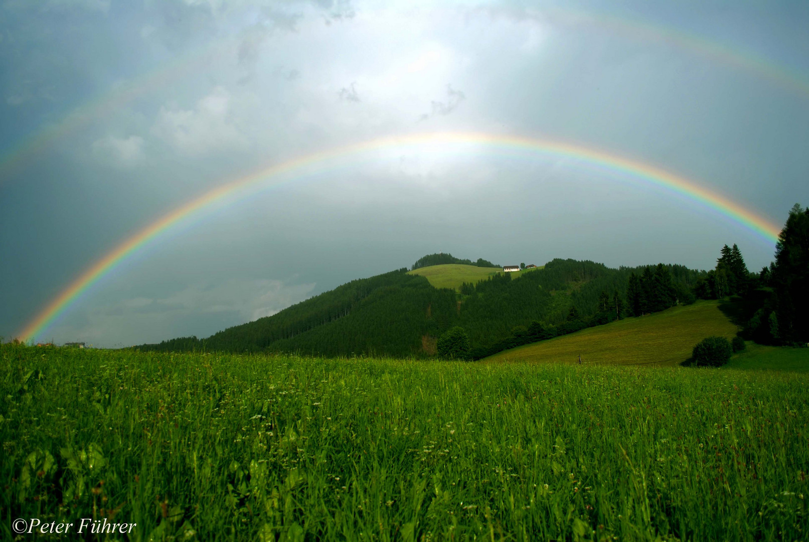 Regenbogen