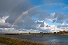 Regenbogen