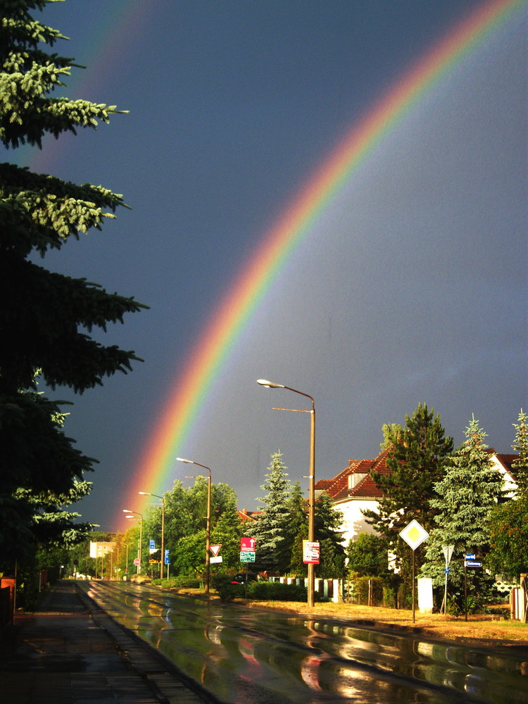 Regenbogen