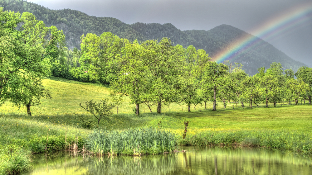 Regenbogen