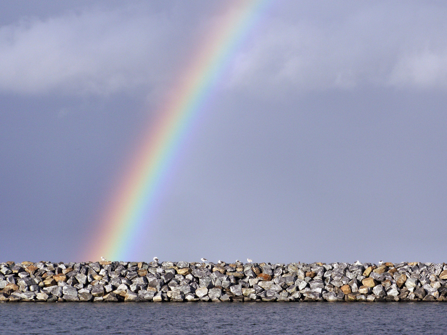 Regenbogen