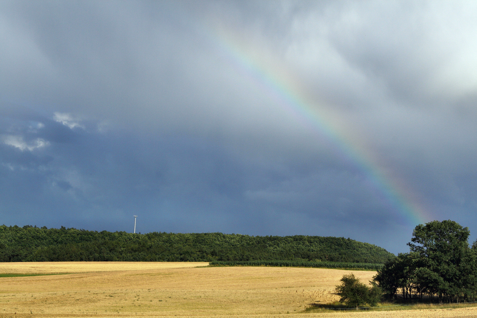 Regenbogen