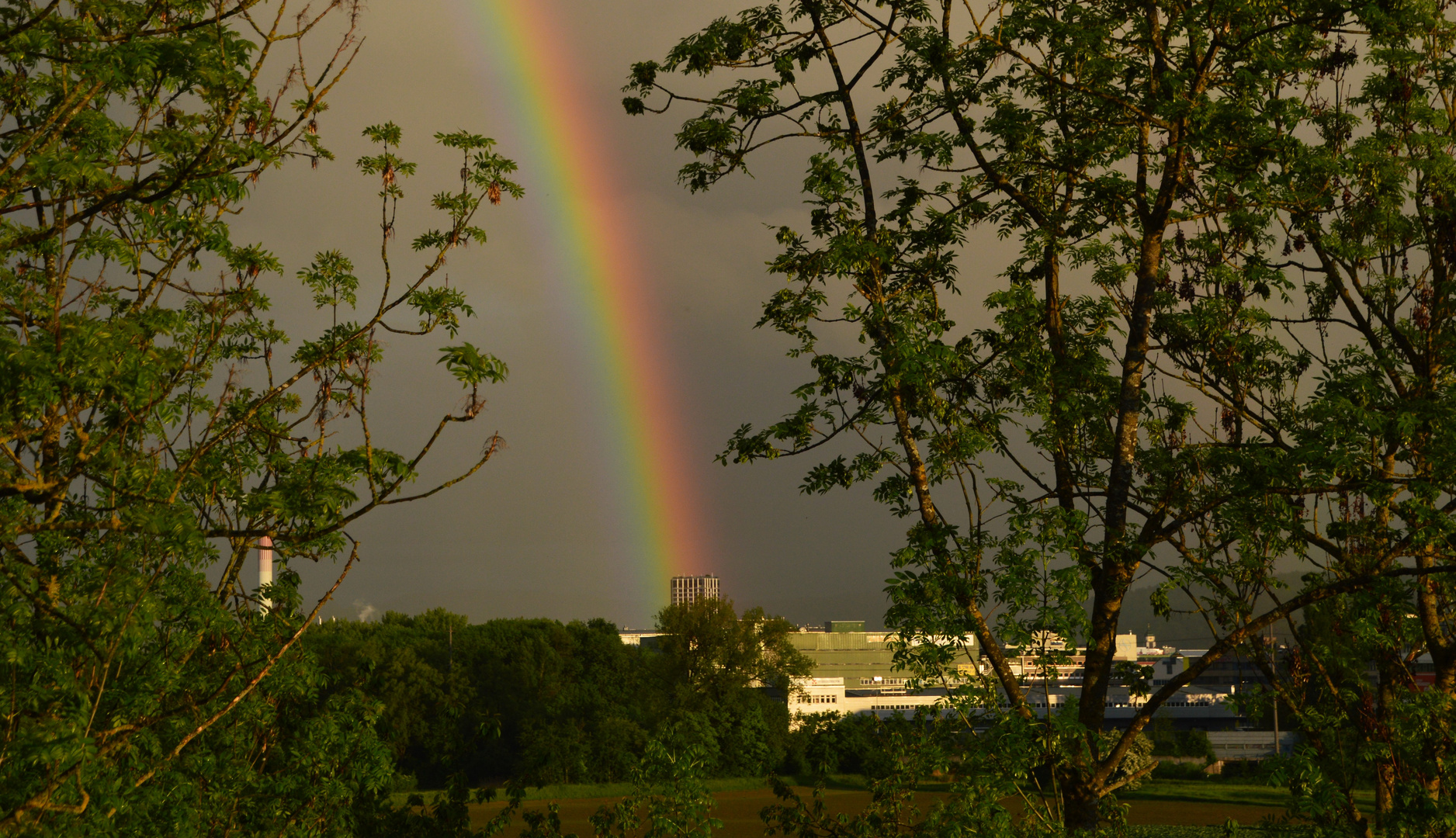 Regenbogen