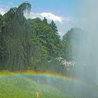 Regenbogen