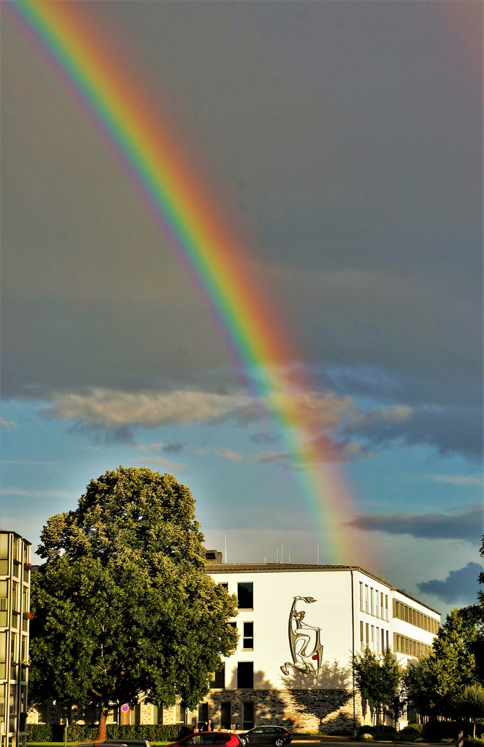 Regenbogen