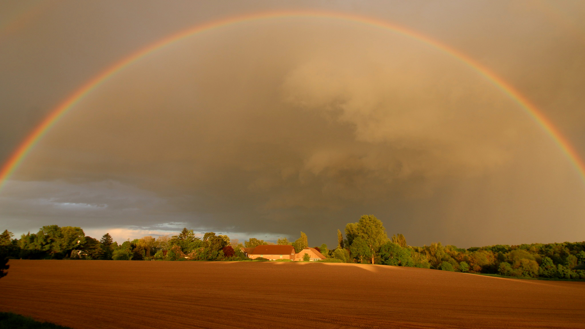 Regenbogen