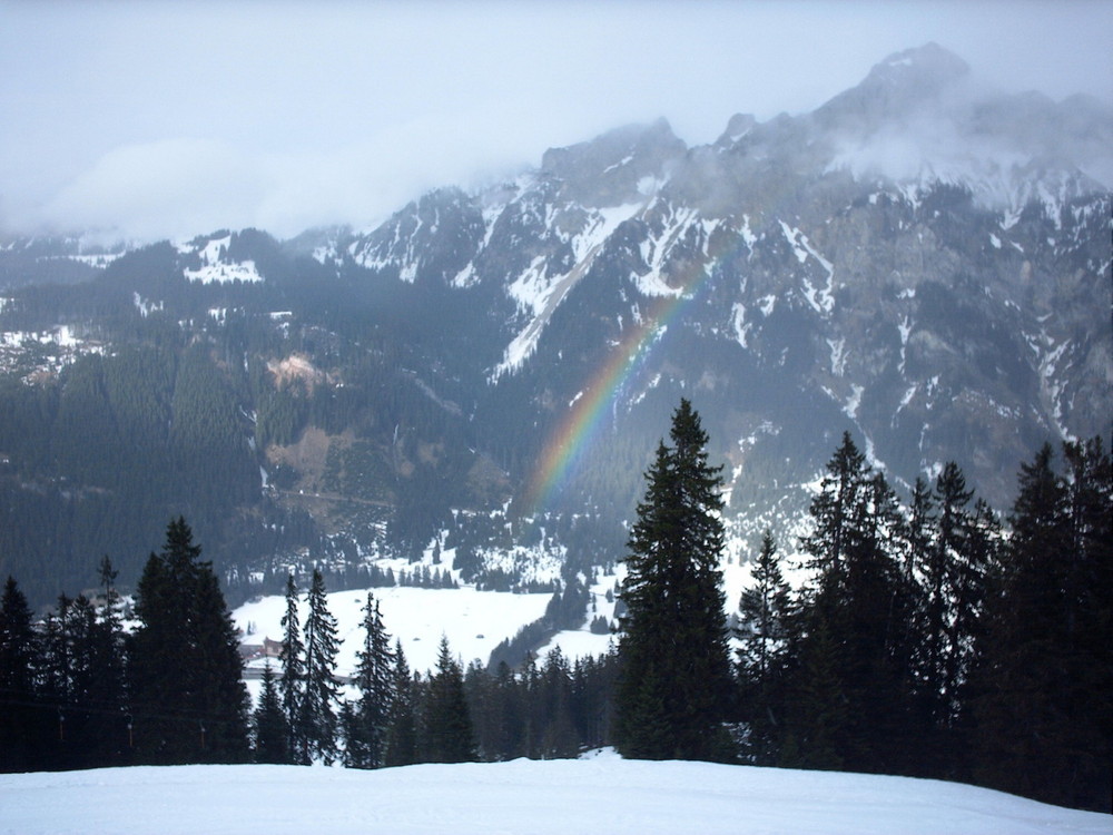 Regenbogen