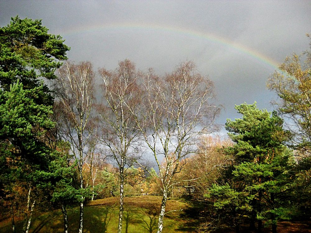 Regenbogen - das Original....