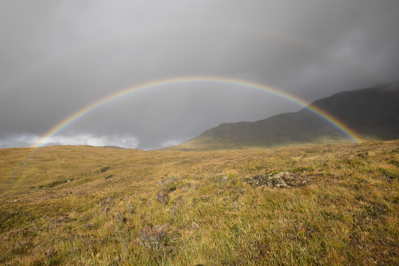 Regenbogen