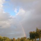 Regenbogen.