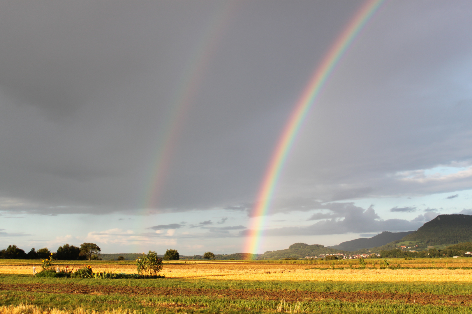 Regenbogen