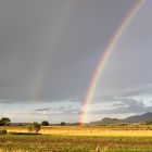 Regenbogen