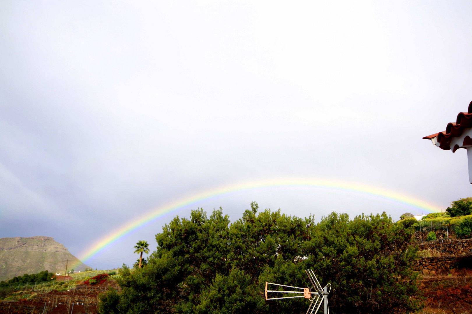 Regenbogen