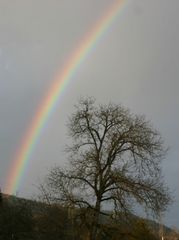 Regenbogen