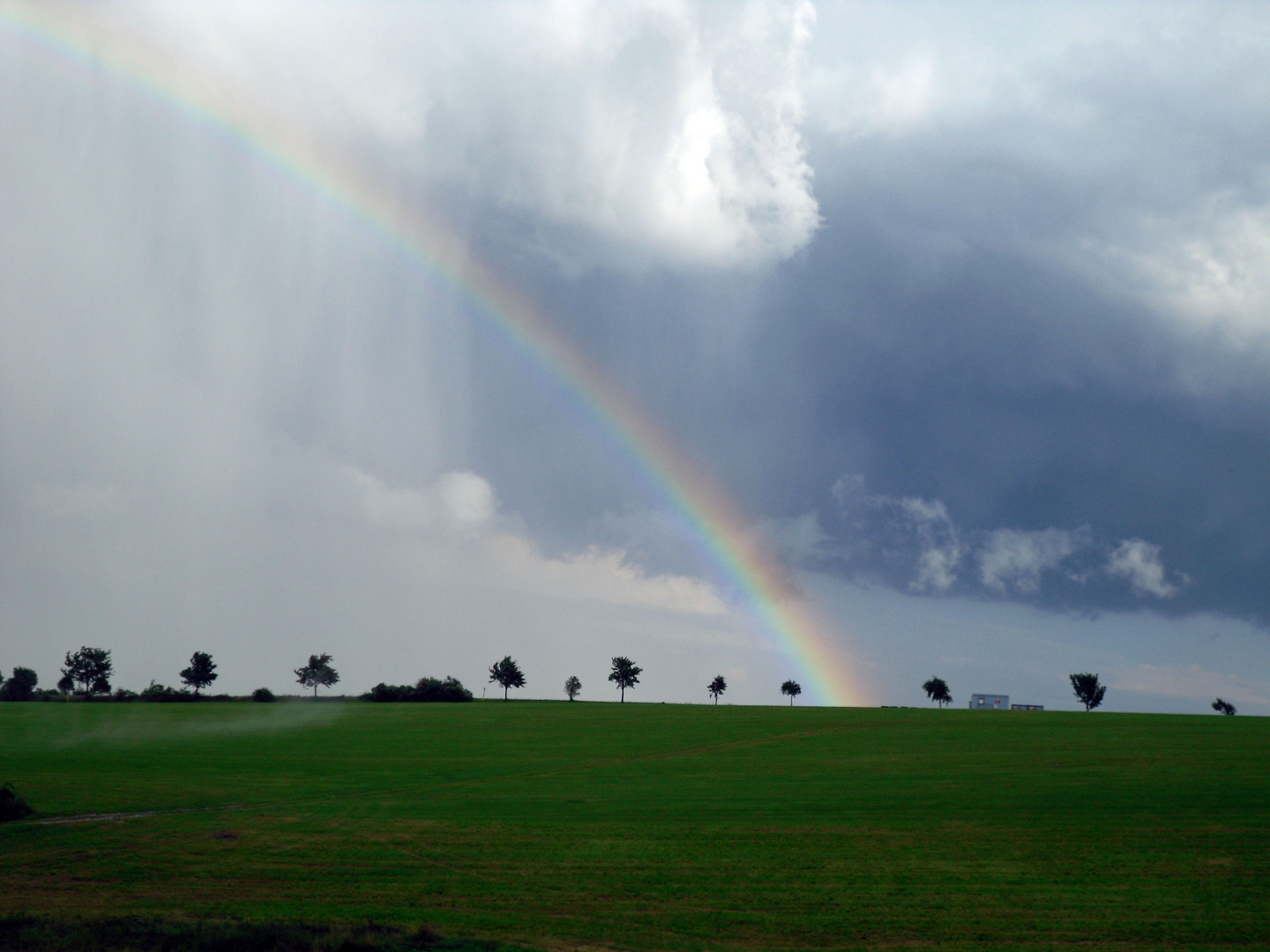 Regenbogen