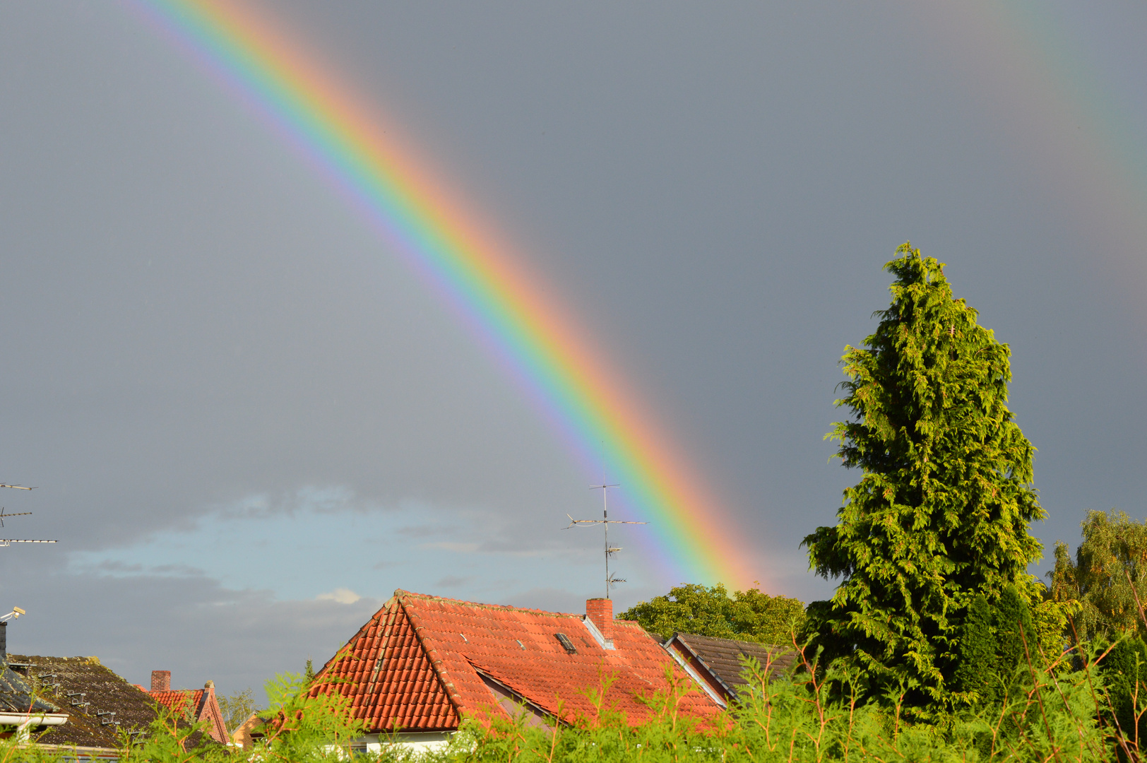 Regenbogen