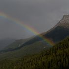 Regenbogen