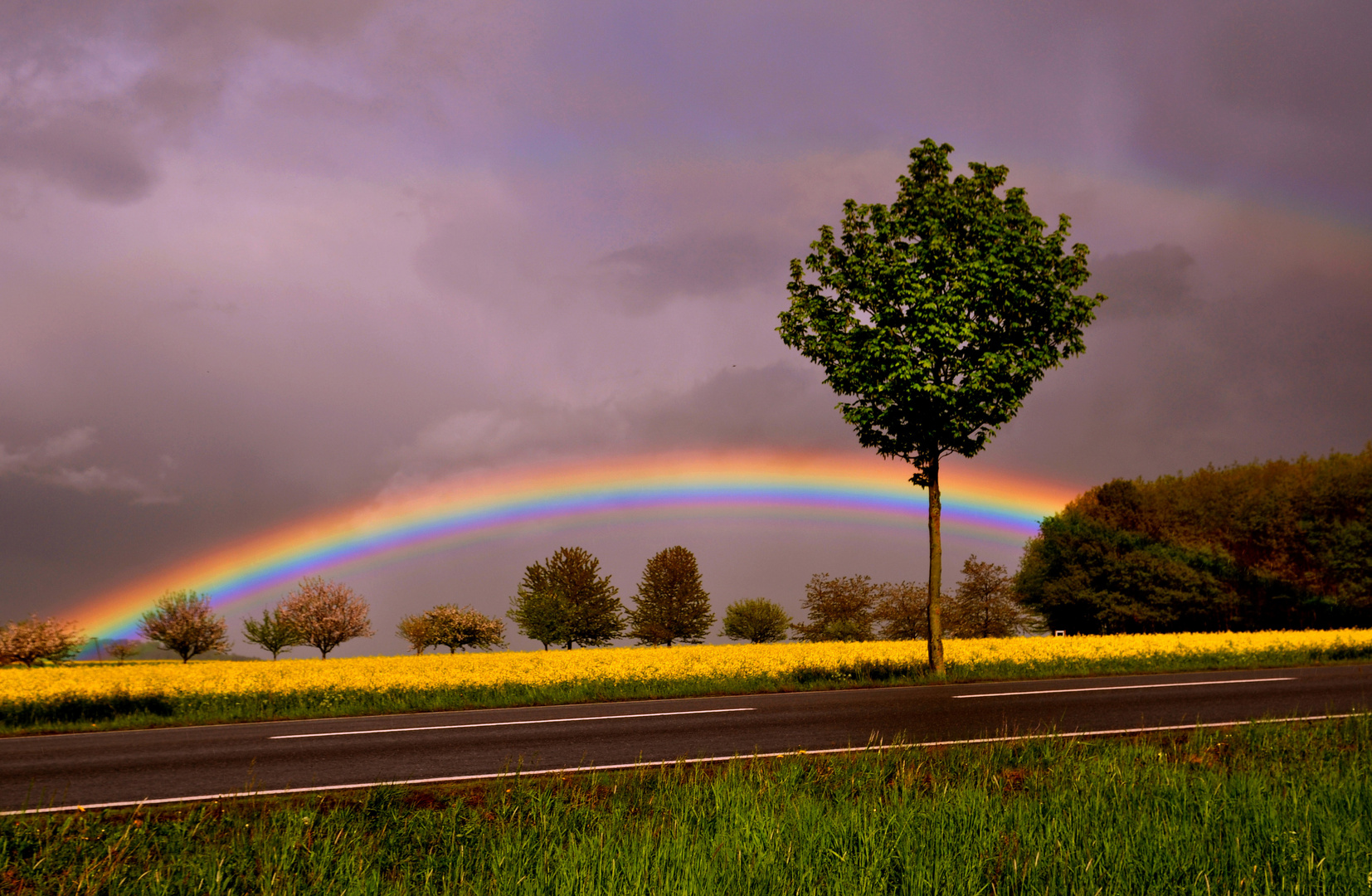 Regenbogen