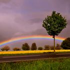 Regenbogen