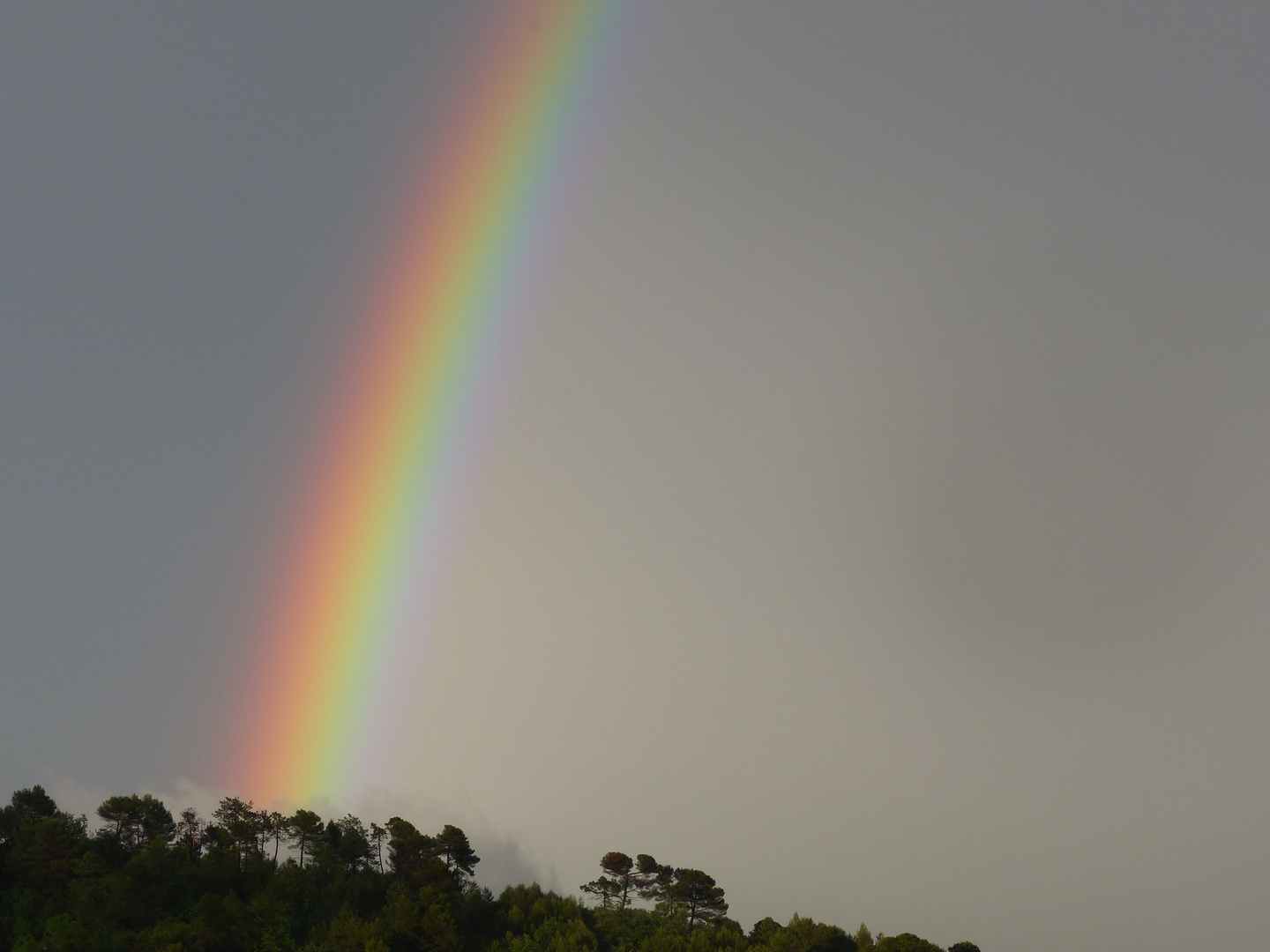 regenbogen detail 3