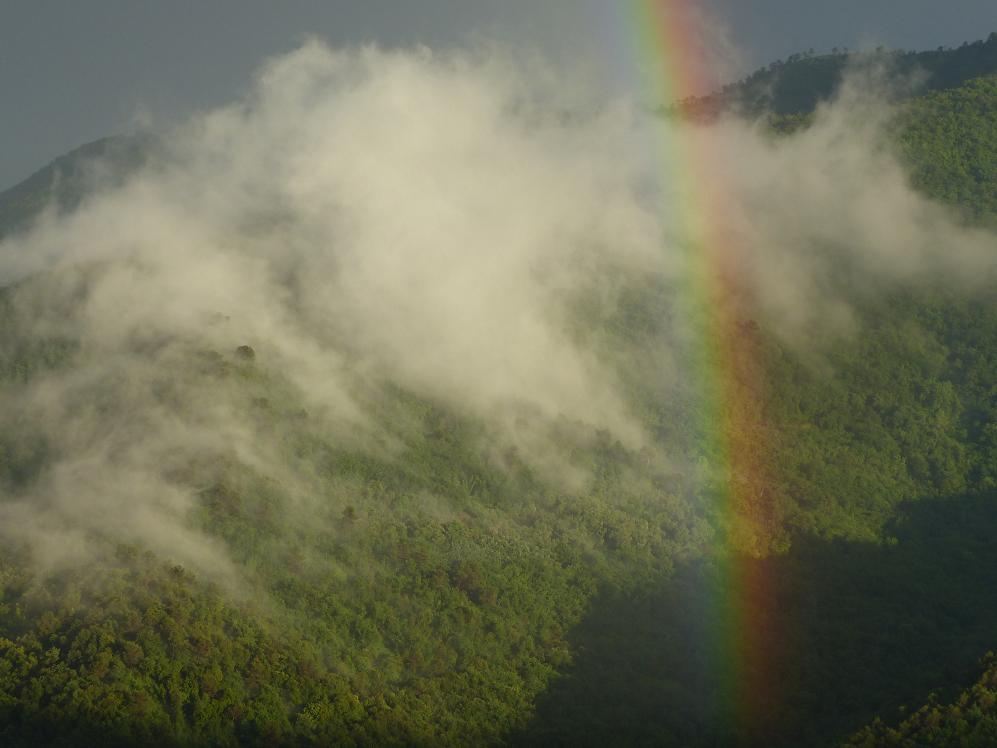 regenbogen detail 4