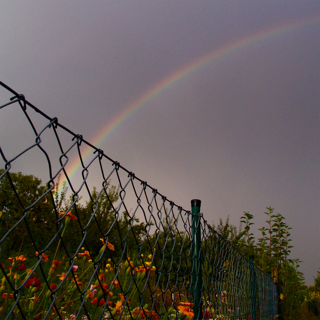 Regenbogen, dicht über’m Schirm