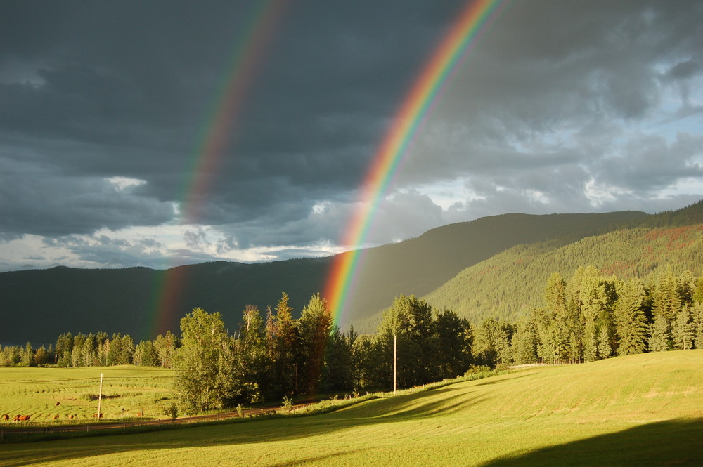 Regenbogen