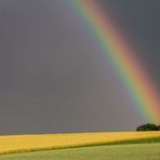 Regenbogen