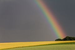 Regenbogen