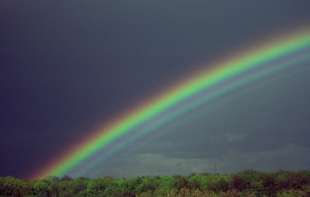 Regenbogen