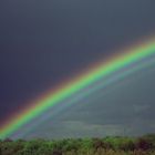 Regenbogen