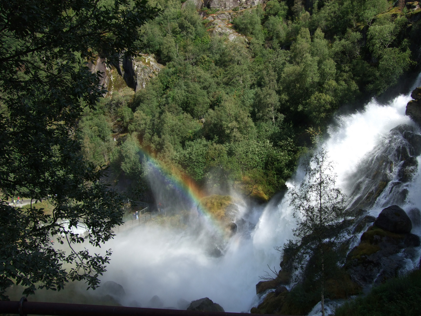 Regenbogen