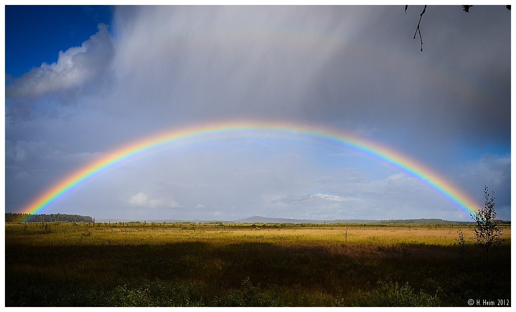 Regenbogen