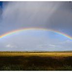 Regenbogen