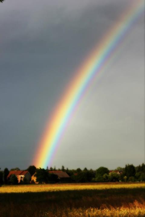 RegenBogen *-*