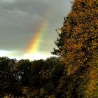 Regenbogen 