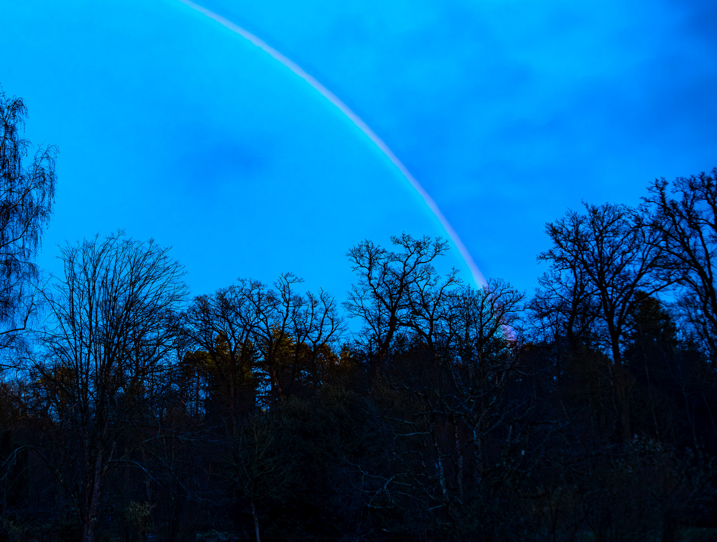 Regenbogen