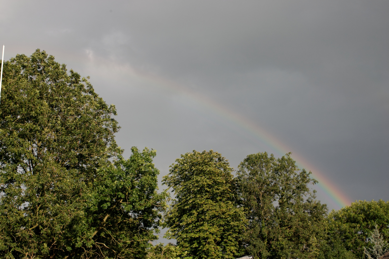 Regenbogen