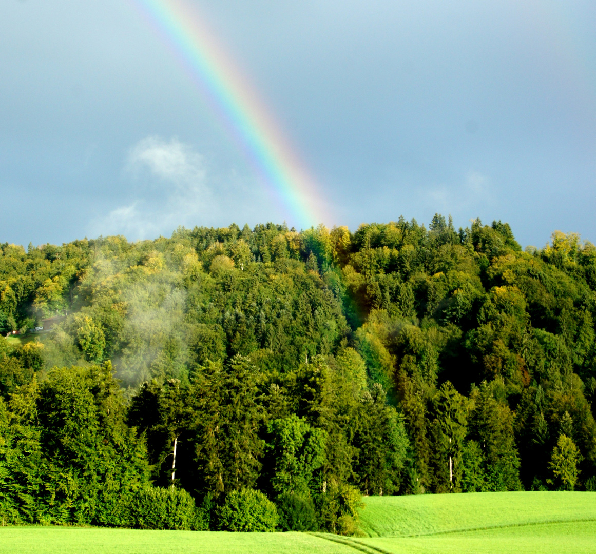 Regenbogen