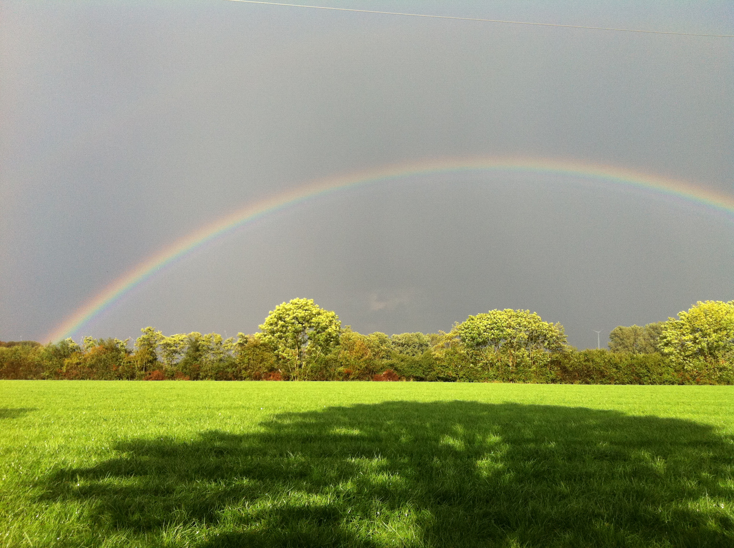 Regenbogen