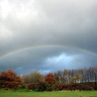 Regenbogen