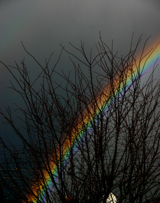 Regenbogen