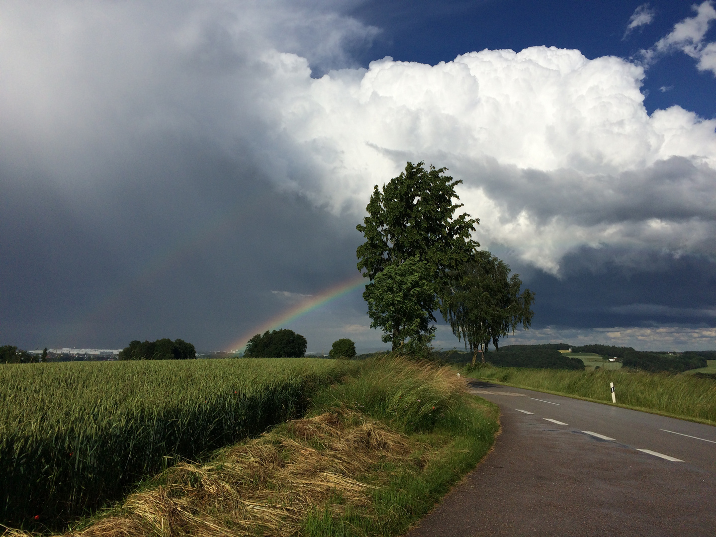 Regenbogen