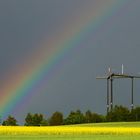 Regenbogen