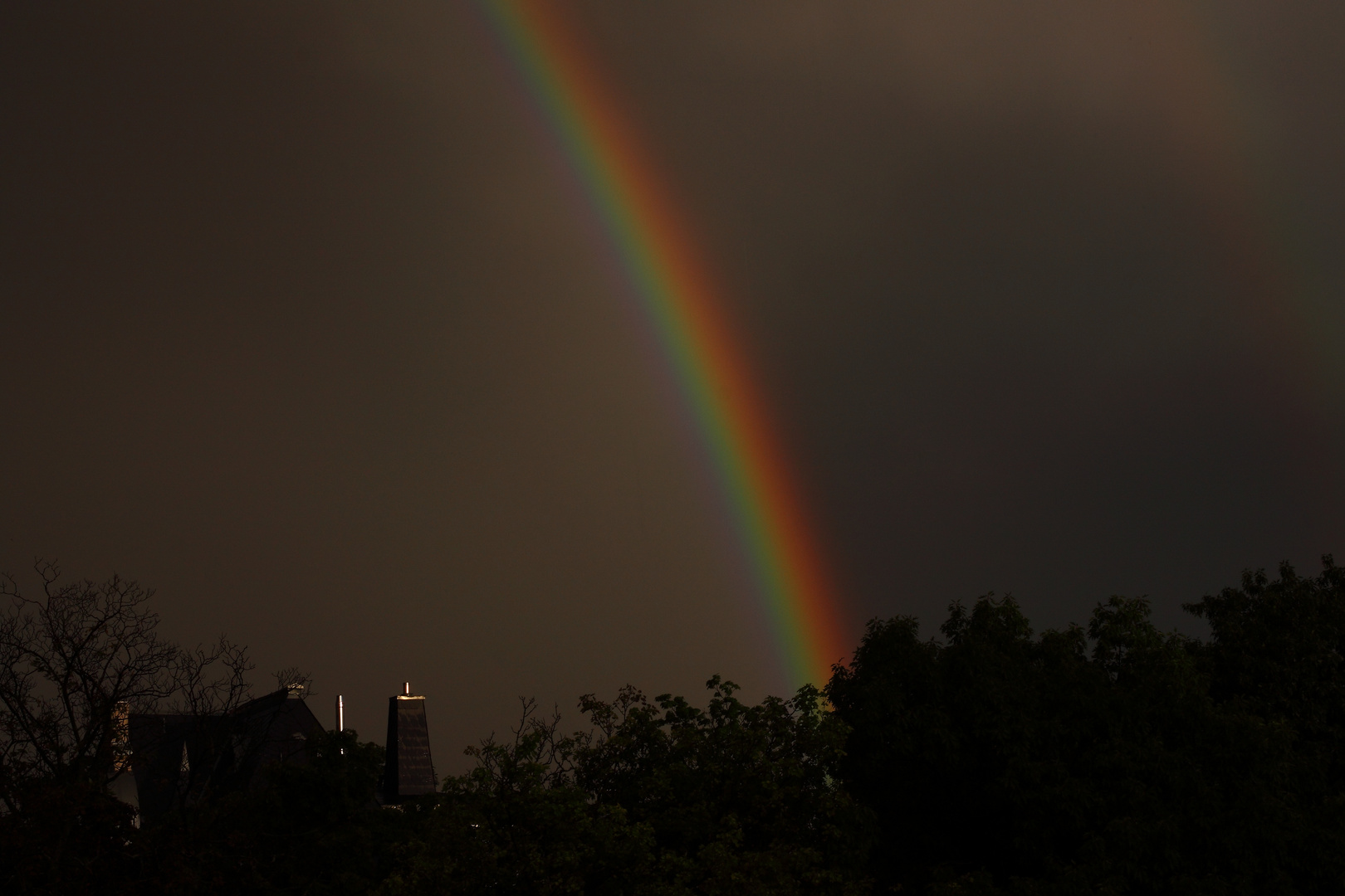 Regenbogen