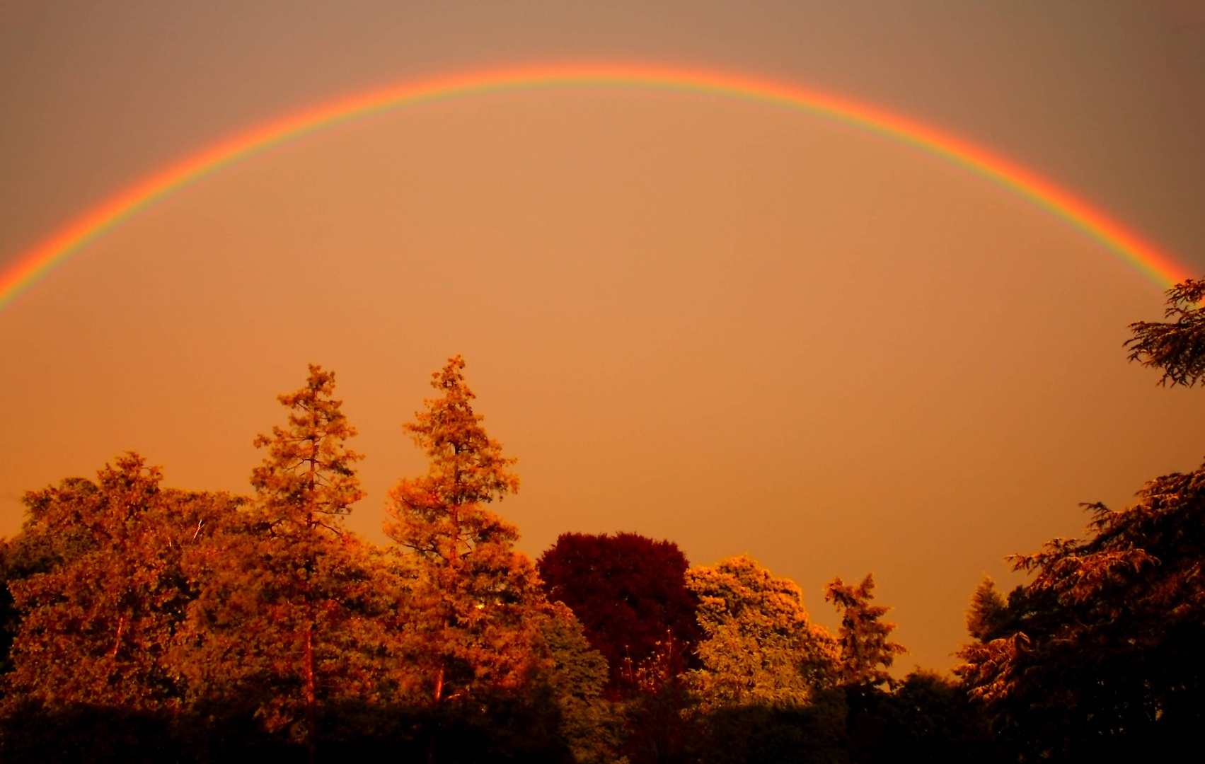 Regenbogen