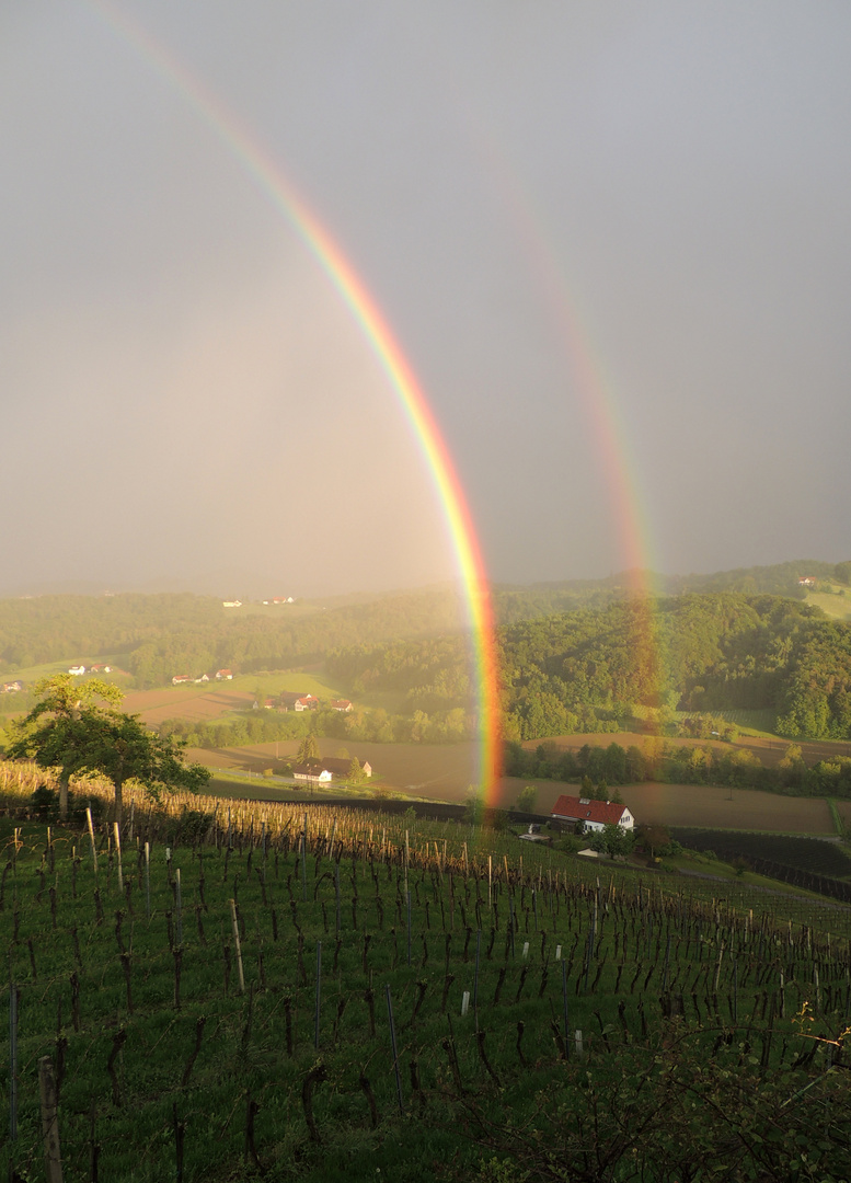 Regenbogen